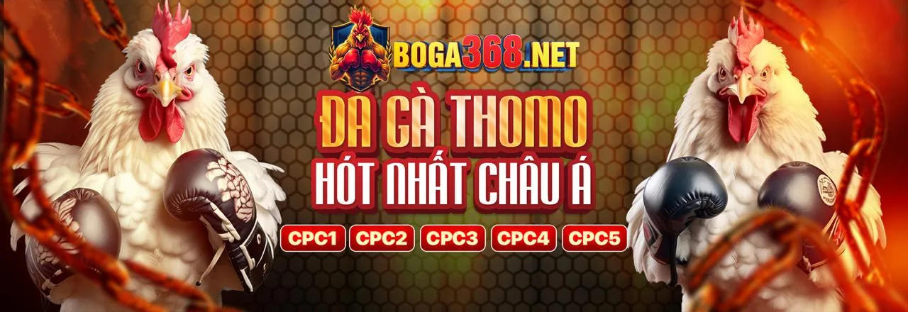 Hành trình phát triển và các giải thưởng của bet88247